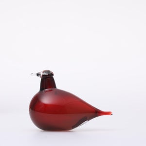 Birds Little Tern クランベリー 1750