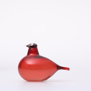 Birds Little Tern クランベリー 1751