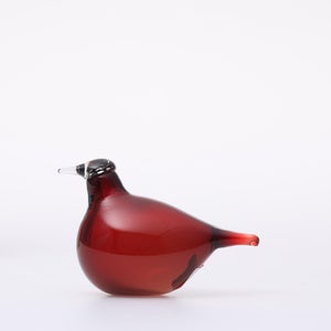 Birds Little Tern クランベリー 1752