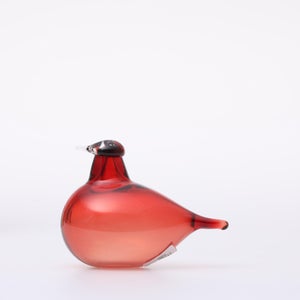 Birds Little Tern クランベリー 1753