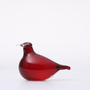 Birds Little Tern クランベリー 1756