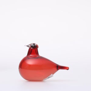 Birds Little Tern クランベリー 1757