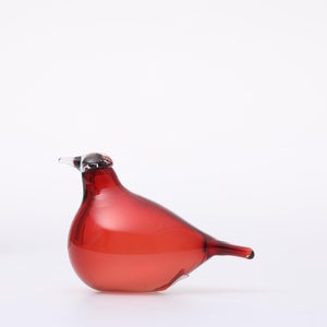 Birds Little Tern クランベリー 1758