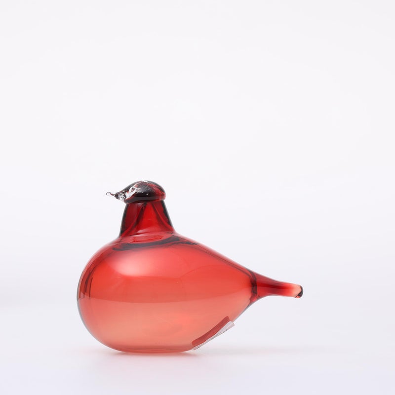 Birds by Toikka | Little Tern | iittala