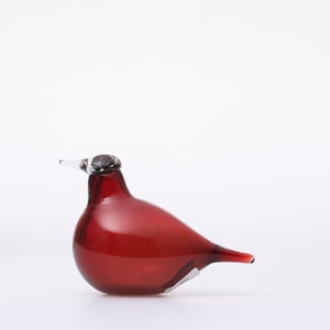 Birds Little Tern クランベリー 1761