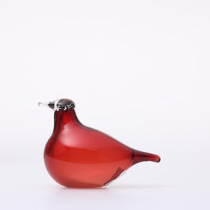 Birds Little Tern クランベリー 1762