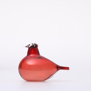 Birds Little Tern クランベリー 1765