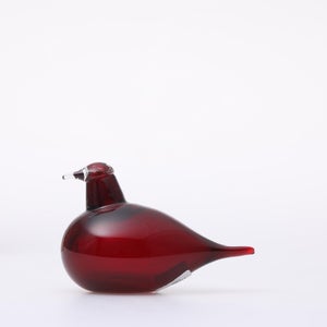 Birds Little Tern クランベリー 1766