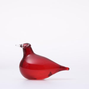 Birds Little Tern クランベリー 1767