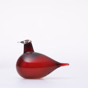 Birds Little Tern クランベリー 1769