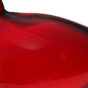 Birds Little Tern クランベリー 1373