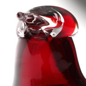 Birds Little Tern クランベリー 1379