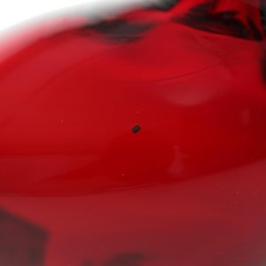 Birds Little Tern クランベリー 1410