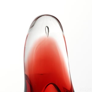 Birds Little Tern クランベリー 1499