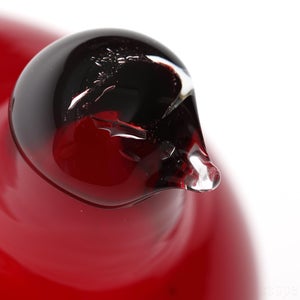 Birds Little Tern クランベリー 1551