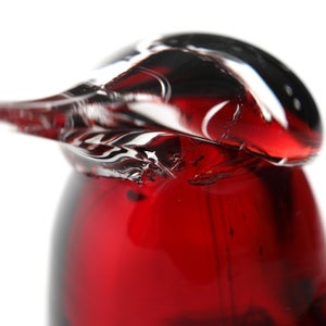 Birds Little Tern クランベリー 1558