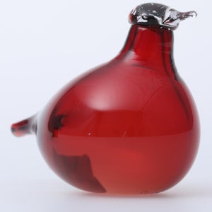 Birds Little Tern クランベリー 1729