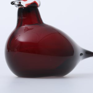 Birds Little Tern クランベリー 1744