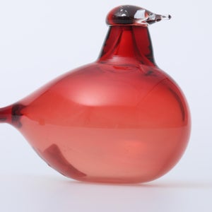 Birds Little Tern クランベリー 1753