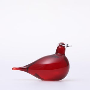 Birds Little Tern クランベリー 1373