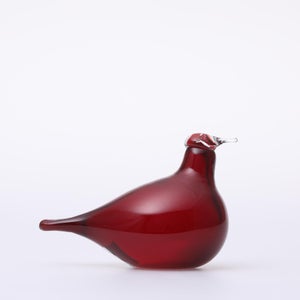 Birds Little Tern クランベリー 1379