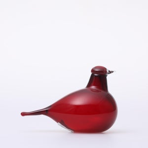 Birds Little Tern クランベリー 1390