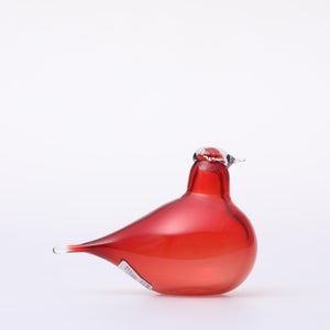 Birds Little Tern クランベリー 1400