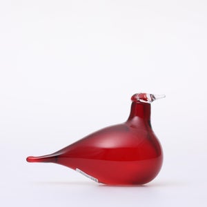 Birds Little Tern クランベリー 1437