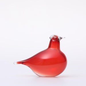 Birds Little Tern クランベリー 1499