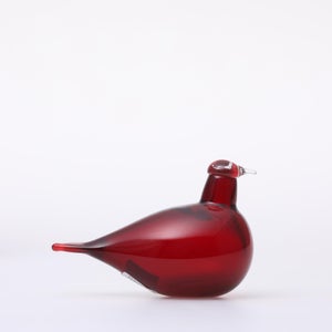 Birds Little Tern クランベリー 1505