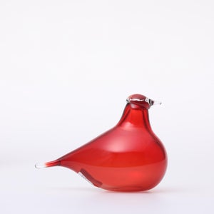 Birds Little Tern クランベリー 1510