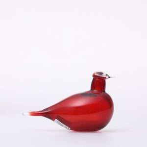 Birds Little Tern クランベリー 1516