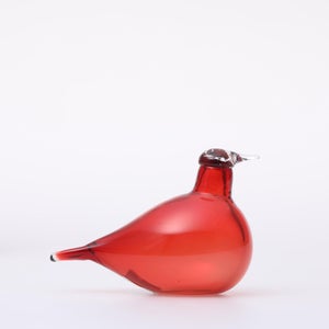 Birds Little Tern クランベリー 1542