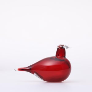 Birds Little Tern クランベリー 1544