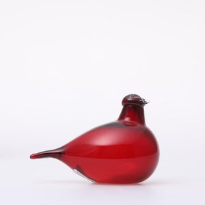 Birds Little Tern クランベリー 1551