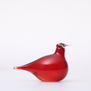 Birds Little Tern クランベリー 1558