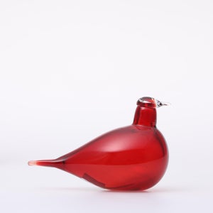 Birds Little Tern クランベリー 1564