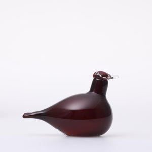 Birds Little Tern クランベリー 1605