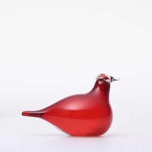 Birds Little Tern クランベリー 1609