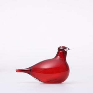 Birds Little Tern クランベリー 1640