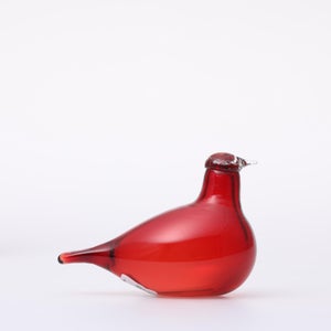 Birds Little Tern クランベリー 1644