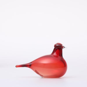 Birds Little Tern クランベリー 1649