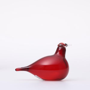 Birds Little Tern クランベリー 1662