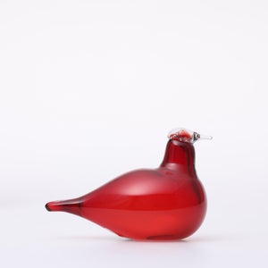 Birds Little Tern クランベリー 1664