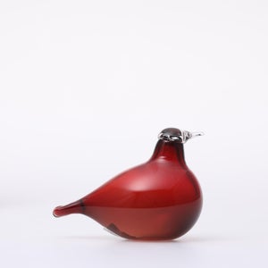 Birds Little Tern クランベリー 1718