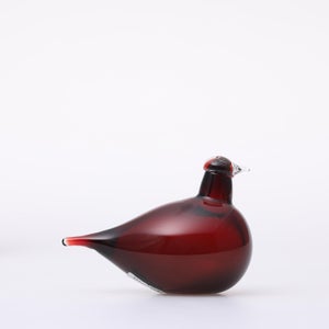 Birds Little Tern クランベリー 1719
