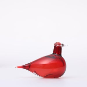 Birds Little Tern クランベリー 1720