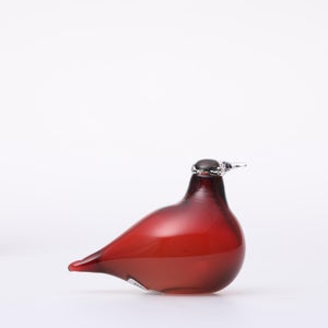 Birds Little Tern クランベリー 1722