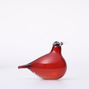 Birds Little Tern クランベリー 1724