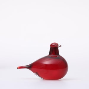 Birds Little Tern クランベリー 1725